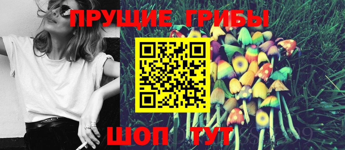 Псилоцибиновые грибы Psilocybe  Вход с VPN  Псилоцибиновые грибы мухоморы  Ялуторовск 