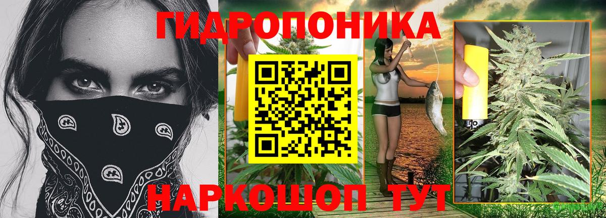 Шишки марихуана сатива  Марихуана планчик  Вход с VPN  Ялуторовск  Марихуана семена 